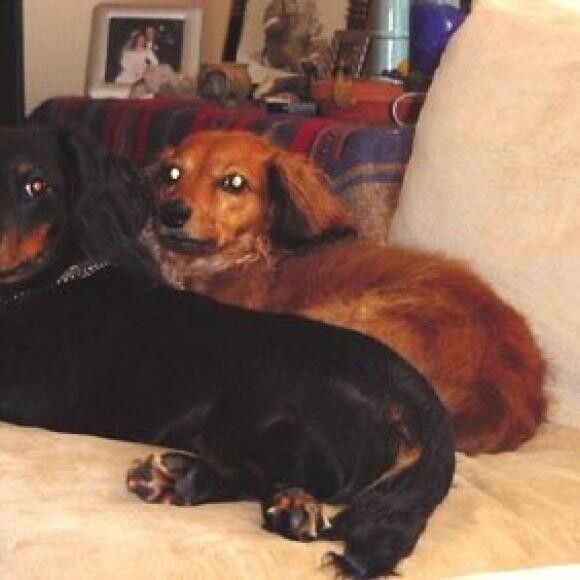 Happy Days with her brother