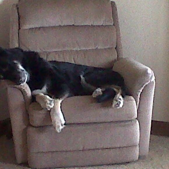 Cole on his recliner.