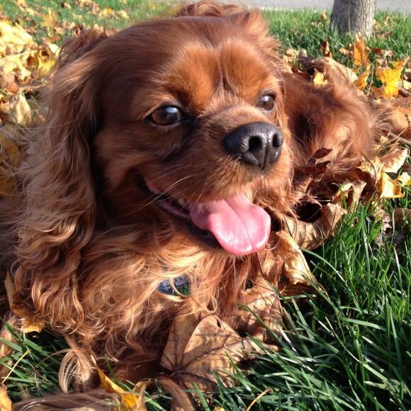 Enjoying the weather