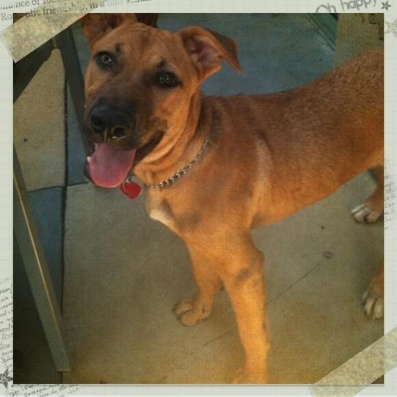 Roxy is full of moxy!
