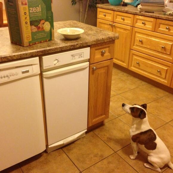 Is it ready yet???