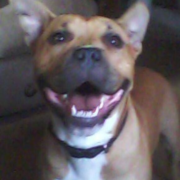 Milo and his viral smile!