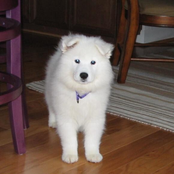 Stoli @ 9 weeks