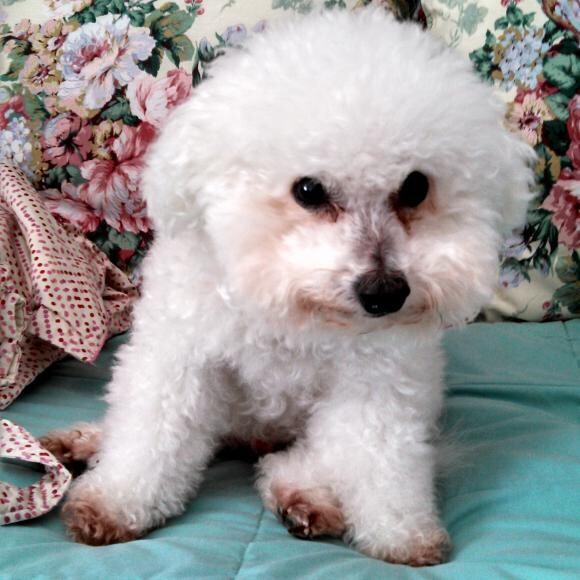 Hi! My name is Kito. I love to eat Zeal!