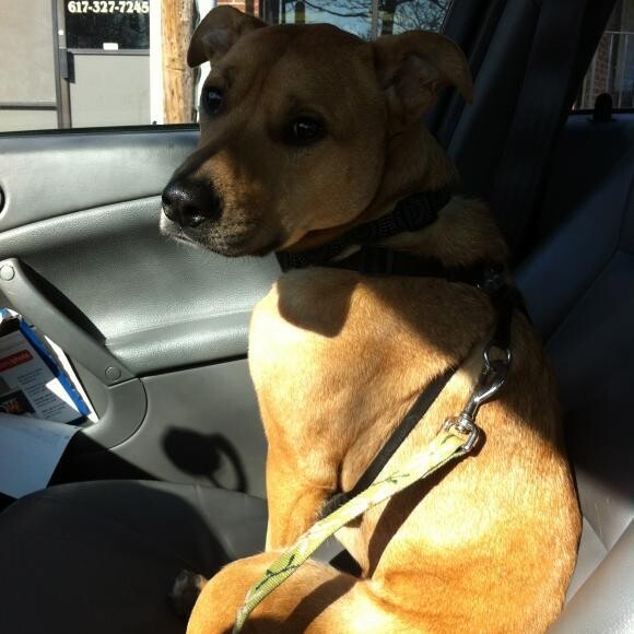 Alvin riding around Boston with his mom.