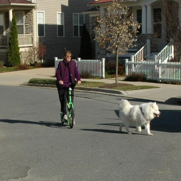 Stoli scootering
