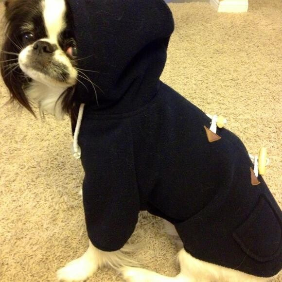 Homie don't play that