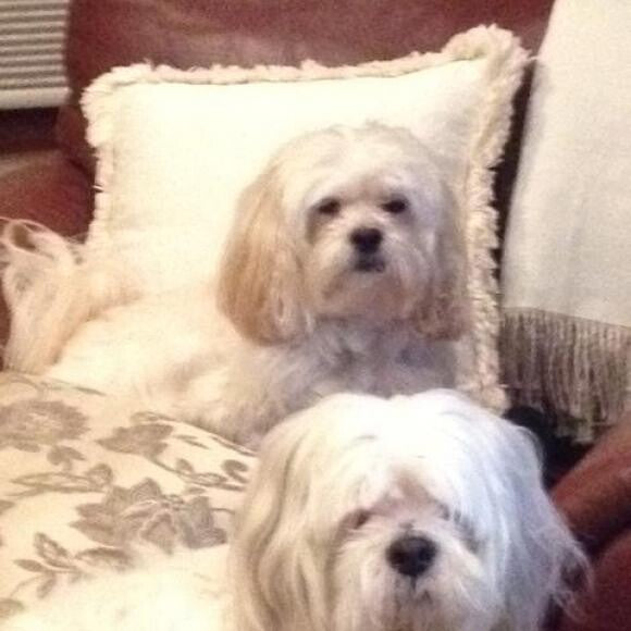 Mikey and Jasper- n
