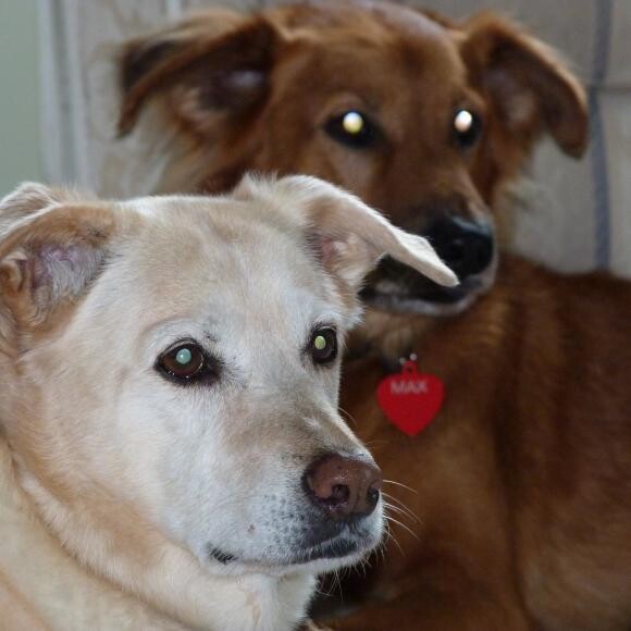 Casey and Max September 2010.