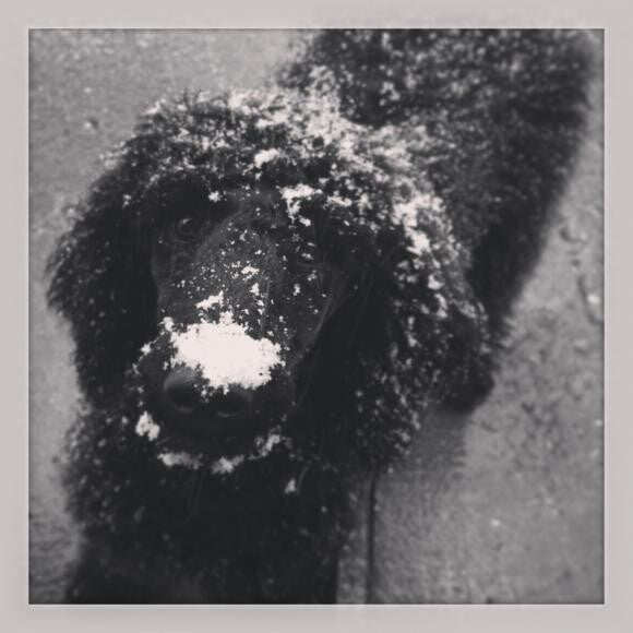 Loving the snow at 5 months old