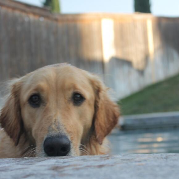 Cami in the pool