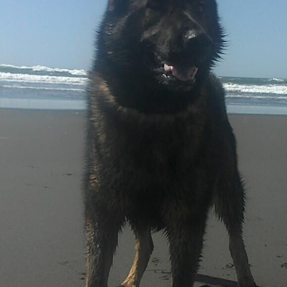 Omma's most recent picture, 2 y.o. -- she is at the beach for the first time and was so happy to play in the water!