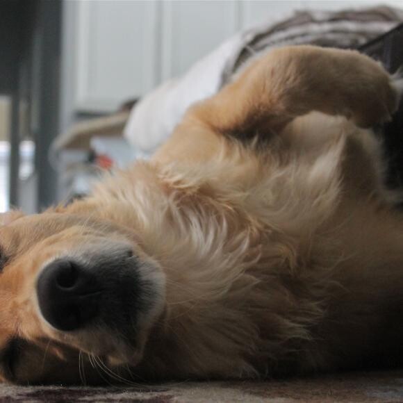 Napping...a favorite pastime