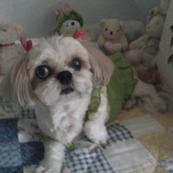 What do you mean this big bed is not all mine?