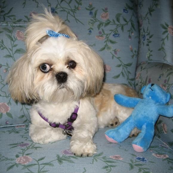I love stuffies!