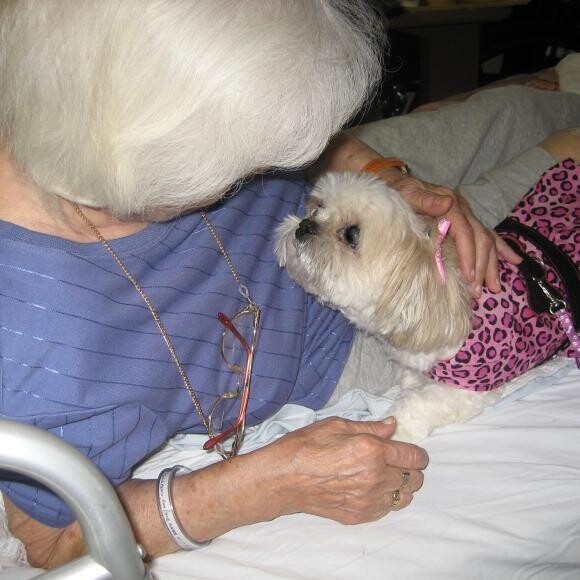 I am an honorary therapy dog :-)