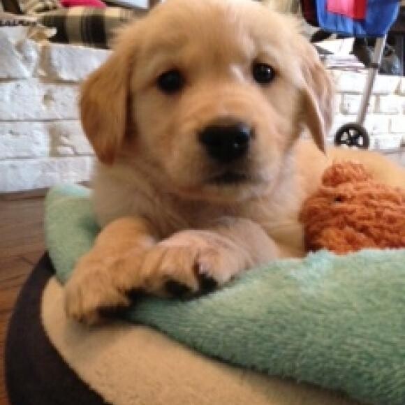 6 weeks