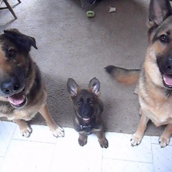 Left to right nLouis, Ella and Chet