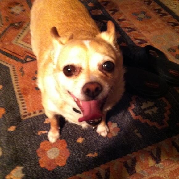 That was yum! Please, sir, may I have some more? Oh, I'm not Oliver Twist.