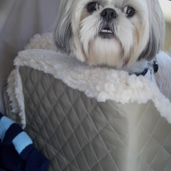 Safe in my snoozer car seat. n