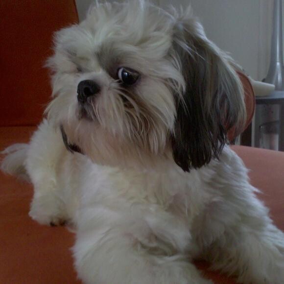 My regal pose.