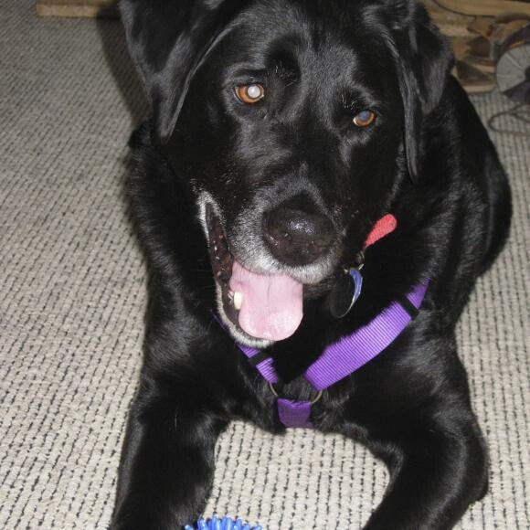 On the boat with that summers favorite toy, Blue Spiky.