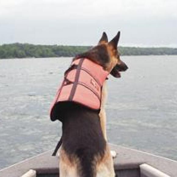 Working a water recovery search