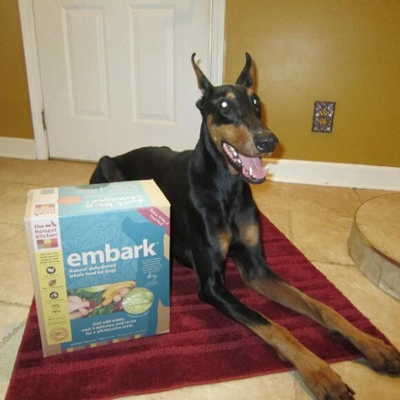 Embark Changed Wolfgang's Life
