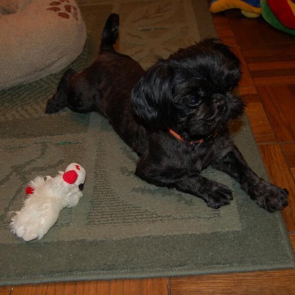Zoey learning about toys