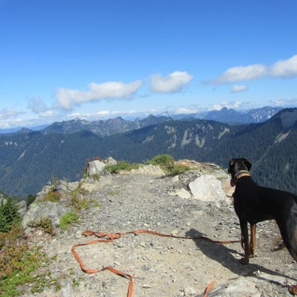 Bare Mountain 2013