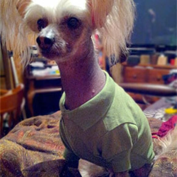 Hari in his new Polo shirt.