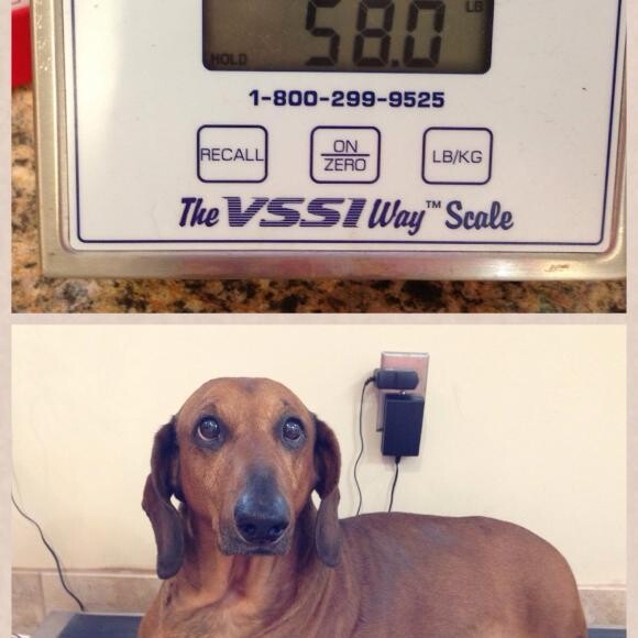 2 month mark and down 9 pounds!