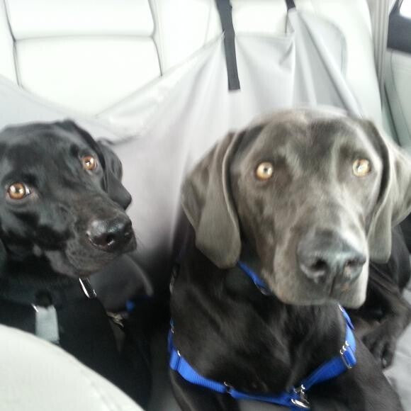 Dawz and his brother!