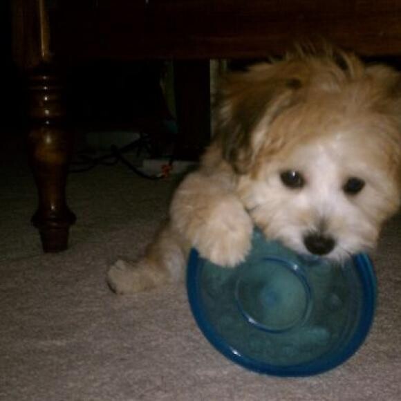 I'm only 4 months old here