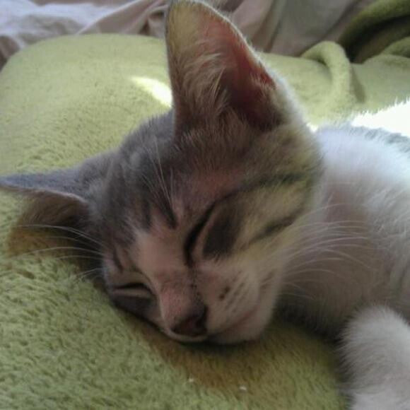 Sleep is good.