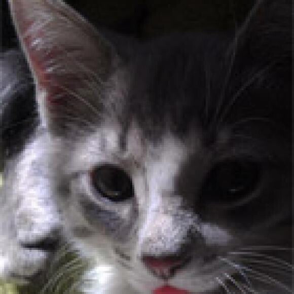 Look at my cute tongue!