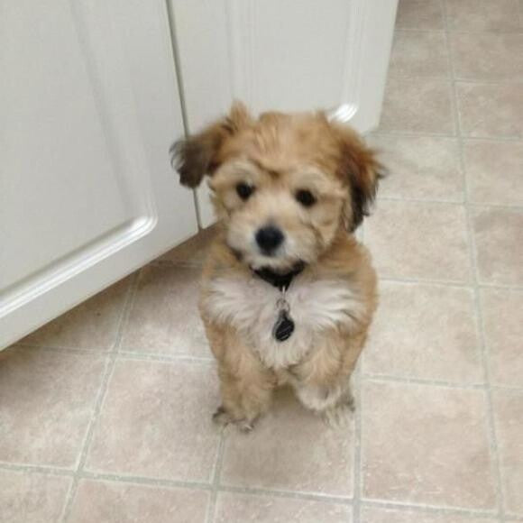 2 days after mommy brought me home