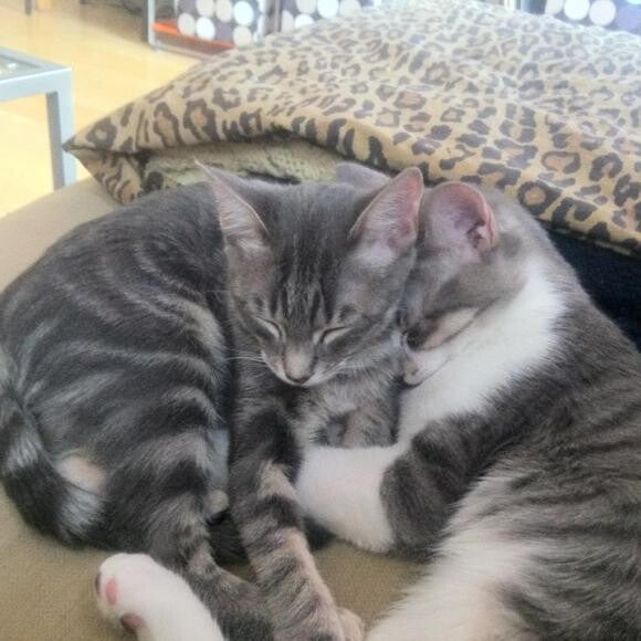 Snuggling with my best friend.