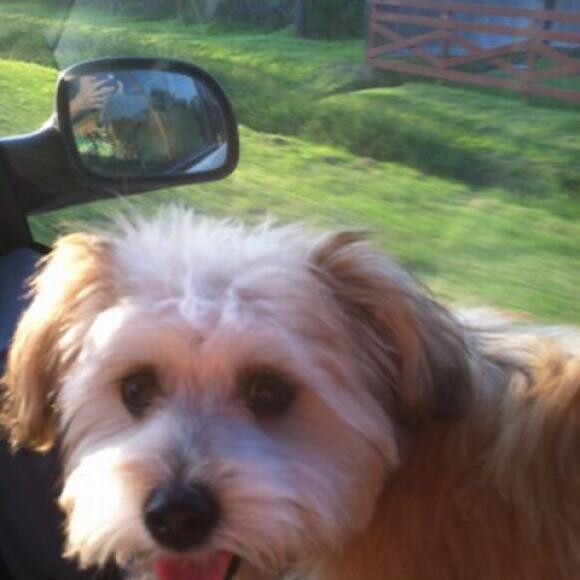 Car Ride!!!