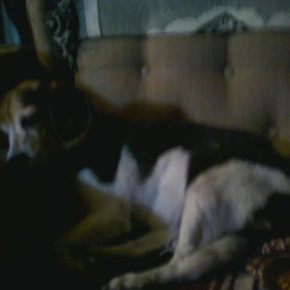 Sleeping Princess