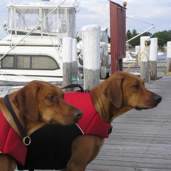Millie & Kirby ready to go boating
