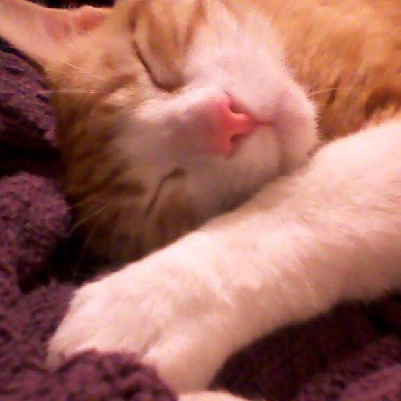 enjoying his new life