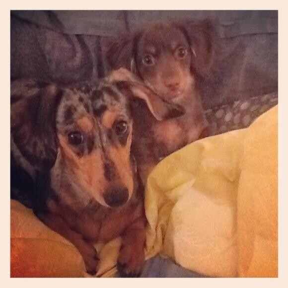 Olive and June