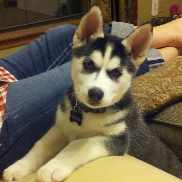 I'm just too cute!