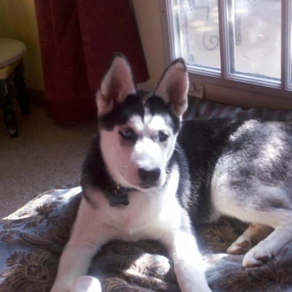 Here I am at one year!