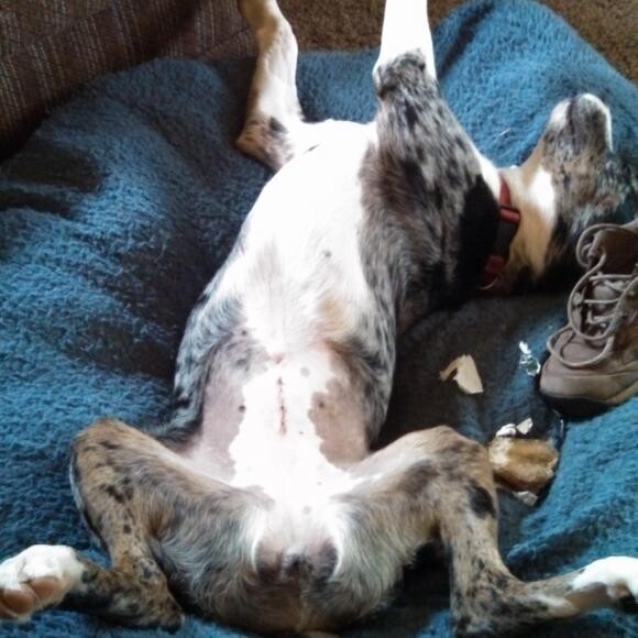 Post 10 mile hike.
