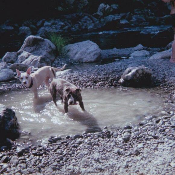 At the river