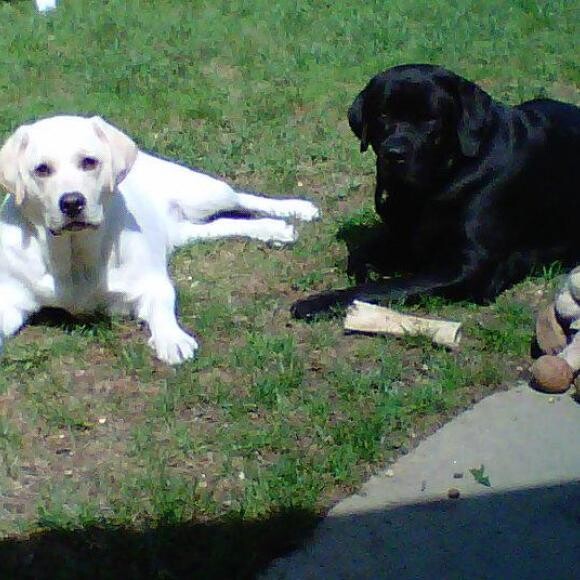 We are much skinnier now! Mom needs to take a more recent picture!