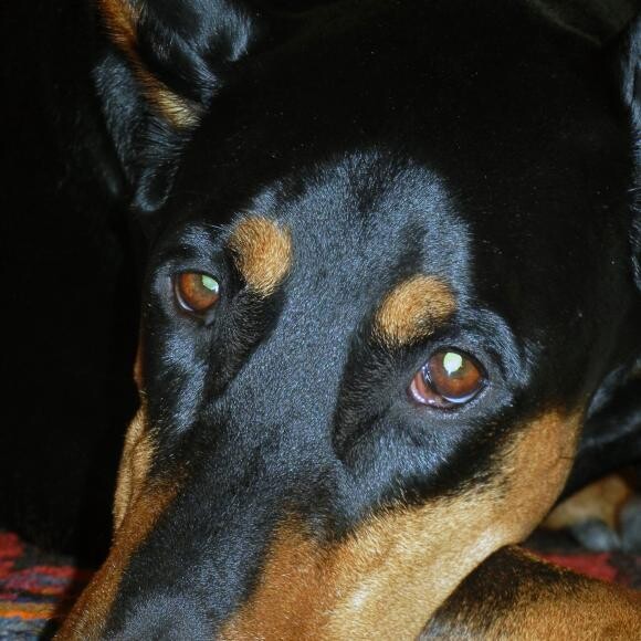 Here she is keeping watch on me