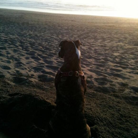 Weezy at the beach